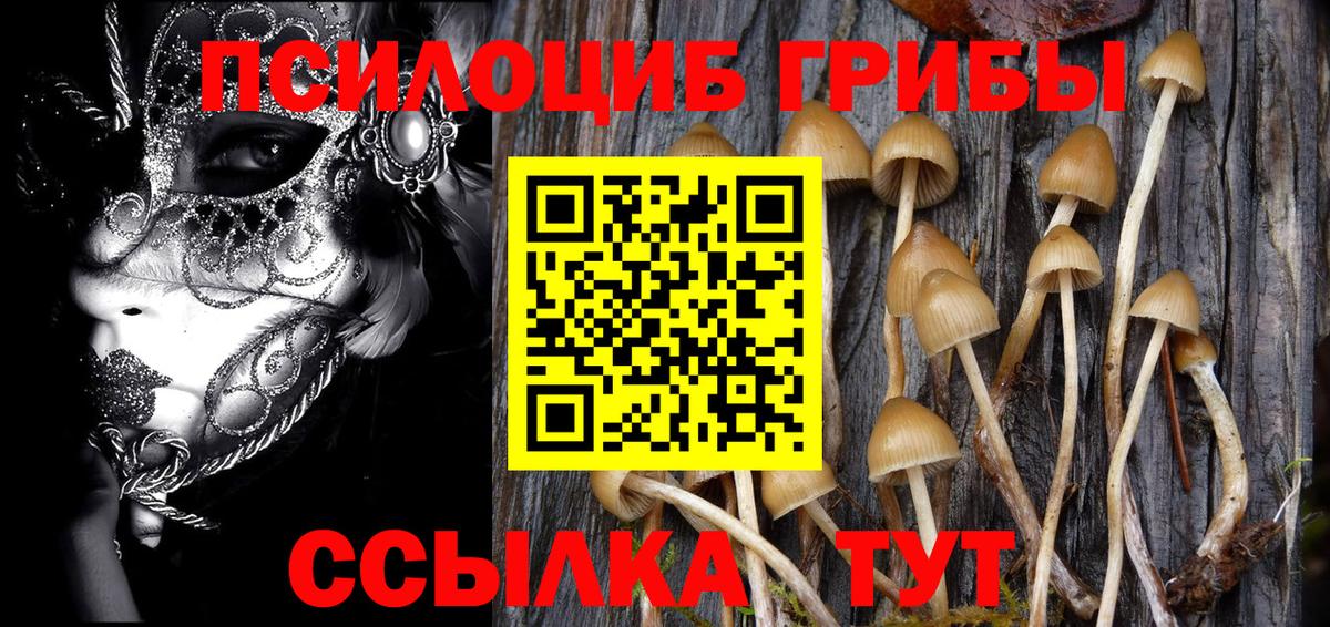 Галлюциногенные грибы мухоморы Кушва