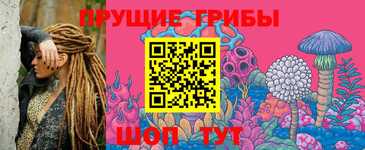 Кушва  Псилоцибиновые грибы мицелий  Вход с VPN 